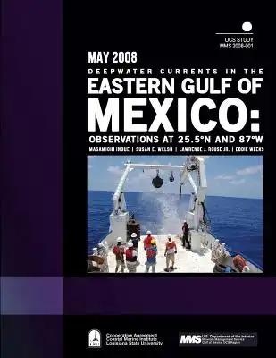 Deepwater Currents in the Eastern Gulf of Mexico: Observations at 25.5N and 87W
