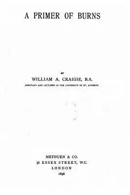 A primer of Burns