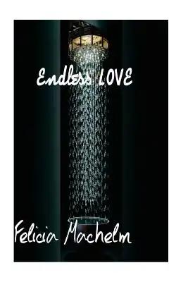 endless love: love novel