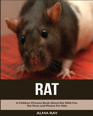 Rat: A Children Pictures Book About Rat With Fun Rat Facts and Photos For Kids