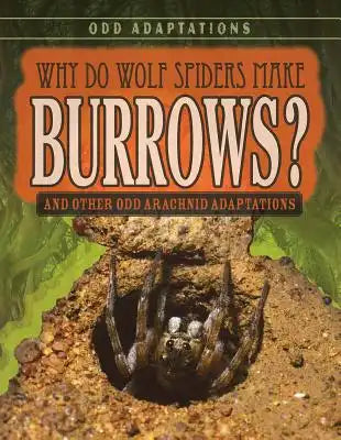 Why Do Wolf Spiders Make Burrows?: And Other Odd Arachnid Adaptations