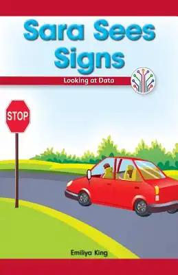 Sara Sees Signs: Looking at Data