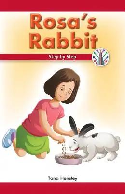 Rosa's Rabbit: Step by Step