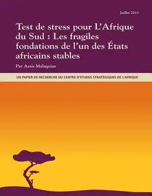 Test de stress pour L'Afrique du Sud: Les fragiles fondations de l'un des États africains stables