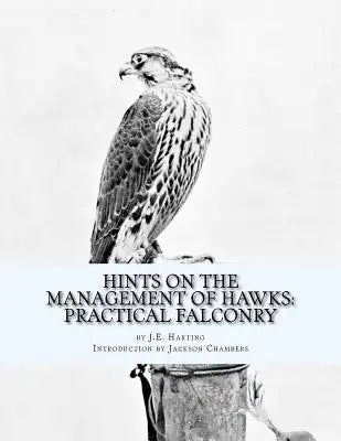 Hints on the Management of Hawks: Practical Falconry