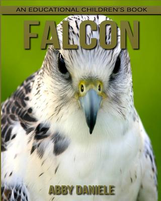 Falcon! An Educational Children's Book about Falcon with Fun Facts & Photos