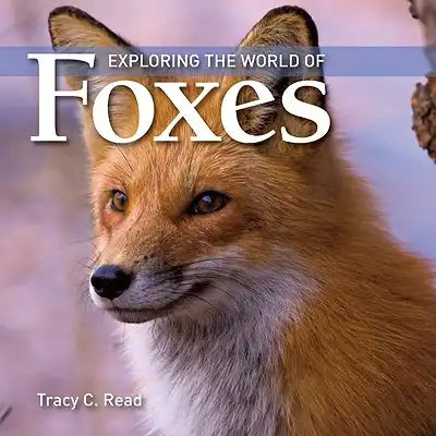 Exploring the World of Foxes