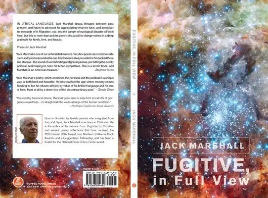 Fugitive, in Full View