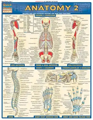 Anatomy 2 - Reference Guide (8.5 X 11): A Quickstudy Reference Tool
