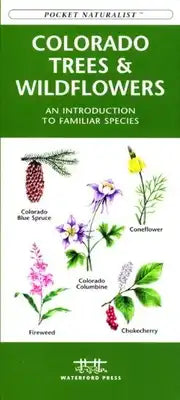 Eastern Coastal Birds: An Introduction to Familiar Species