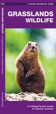 Grasslands Wildlife: A Folding Pocket Guide to Familiar Species Found in Prairie Grasslands