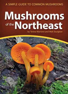 Mushrooms of the Northeast: A Simple Guide to Common Mushrooms