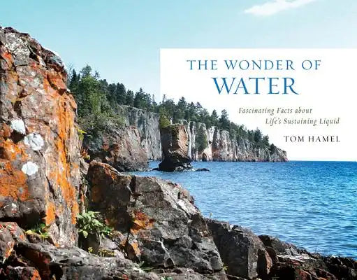 The Wonder of Water: Fascinating Facts about Life's Sustaining Liquid
