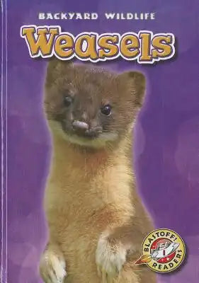 Weasels