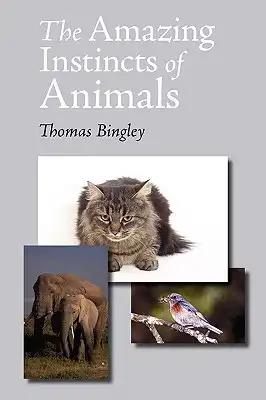 The Amazing Instincts of Animals