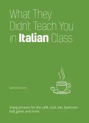 What They Didn't Teach You in Italian Class: Slang Phrases for the Cafe, Club, Bar, Bedroom, Ball Game and More