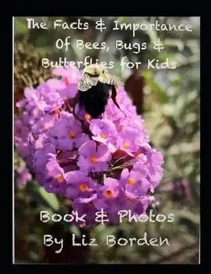 The Facts & Importance Of Bees, Bugs & Butterflies for Kids
