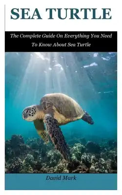 Sea Turtle: The Complete Guide On Everything You Need To Know About Sea Turtle
