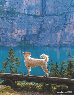Agenda anual 2020: Agenda anual para 2020, 12 meses, agenda de 52 semanas con tareas y metas; formato A4+; motivo: Bergsee mit Hund
