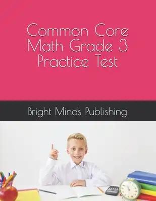 Common Core Math Grade 3 Practice Test