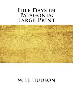 Idle Days in Patagonia: Large Print