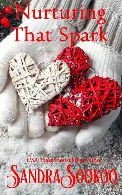 Nurturing That Spark: a Christmas romance