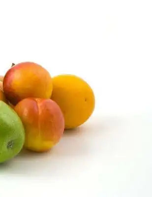 Fruit Notebook Large Size 8.5 x 11 Ruled 150 Pages Softcover