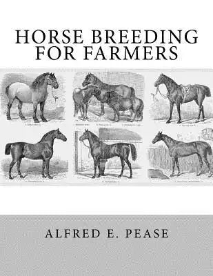 Horse Breeding For Farmers