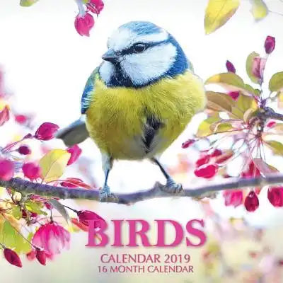 Birds Calendar 2019: 16 Month Calendar