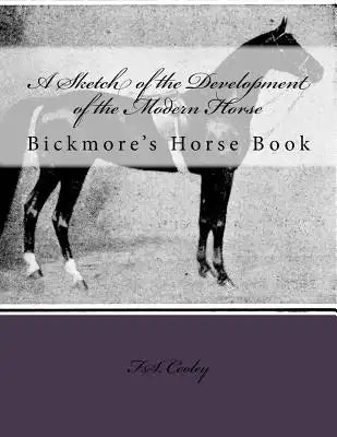 A Sketch of the Development of the Modern Horse: Bickmore's Horse Book