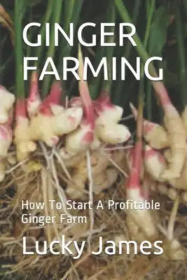 Ginger Farming: How To Start A Profitable Ginger Farm