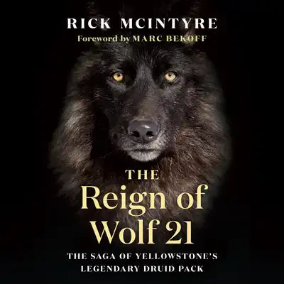 The Reign of Wolf 21: The Saga of Yellowstone's Legendary Druid Pack