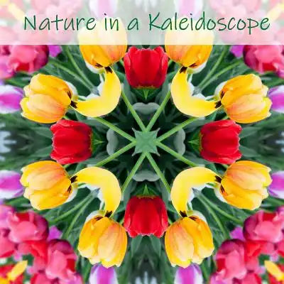 Nature in a Kaleidoscope