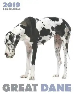 Great Dane 2019 Dog Calendar