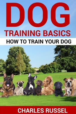 Dog Training Basics: How to train your dog