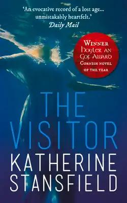 The Visitor