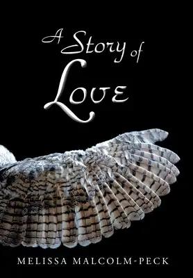 A Story of Love