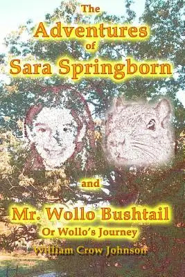 The Adventures of Sara Springborn and Mr. Wollo Bushtail: or Wollo's Journey