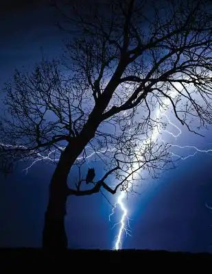 Thunderstorm Notebook: 8.5 X 11 202 College Ruled Pages
