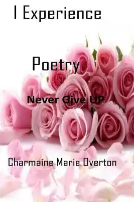 I Experience Poetry: Never Give UP