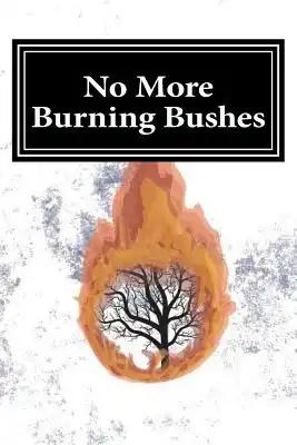 No More Burning Bushes: Finding Meaning in the One Time Events of the Bible
