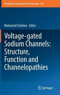 Voltage-Gated Sodium Channels: Structure, Function and Channelopathies