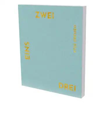 Ayse Erkmen: Eins Zwei Drei: Cat. Kunsthalle Vogelmann. Städtische Museen Heilbronn