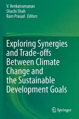Exploring Synergies and Trade-Offs Between Climate Change and the Sustainable Development Goals