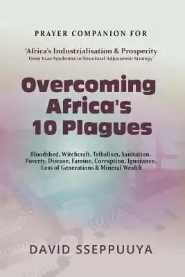 Overcoming Africa's 10 Plagues: Bloodshed, Witchcraft, Tribalism, Sanitation, Poverty, Disease, Famine, Corruption, Ignorance, Loss of Generations & M