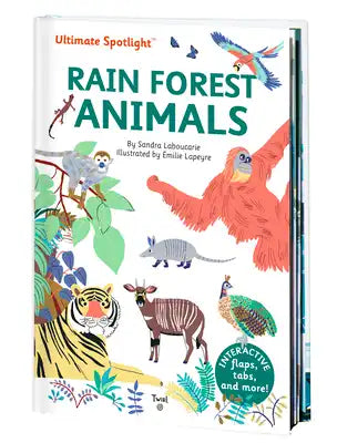 Ultimate Spotlight: Rain Forest Animals