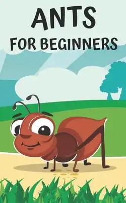 Ants for beginners: Guide to successfully keep ants in an ant farm for novices
