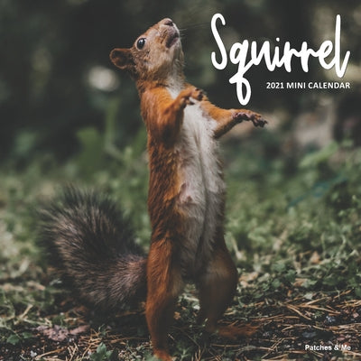 Squirrel: 2021 Mini Wall Calendar