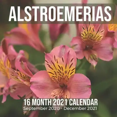 Alstroemerias 16 Month 2021 Calendar September 2020-December 2021: Square Photo Book Monthly Pages 8.5 x 8.5 Inch Garden Flowers