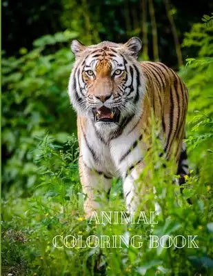 Animal Coloring Book: Actvity Coloring Pages for Kids